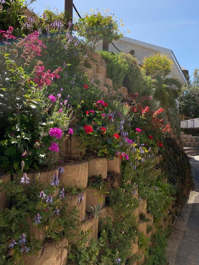 הוילה Wilderness Oceanview מראה חיצוני תמונה